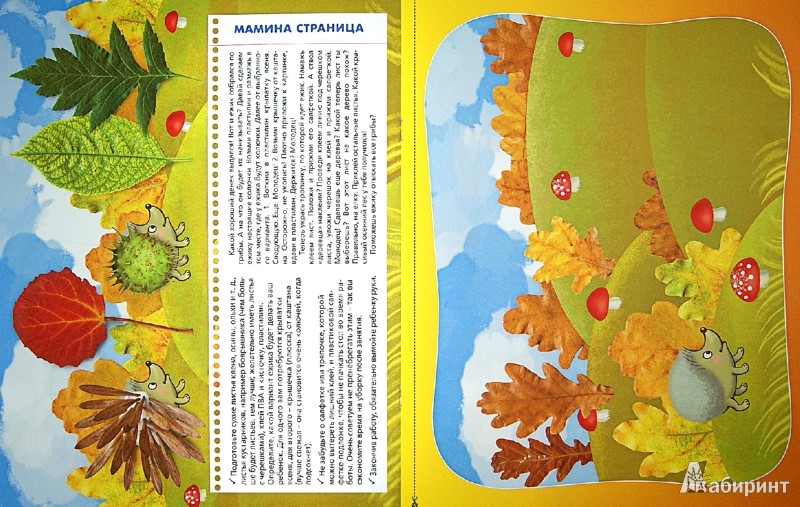 Иллюстрация 1 из 3 для Природные материалы. Собери и приклей. 2-3 | Лабиринт - книги. Источник: Лабиринт