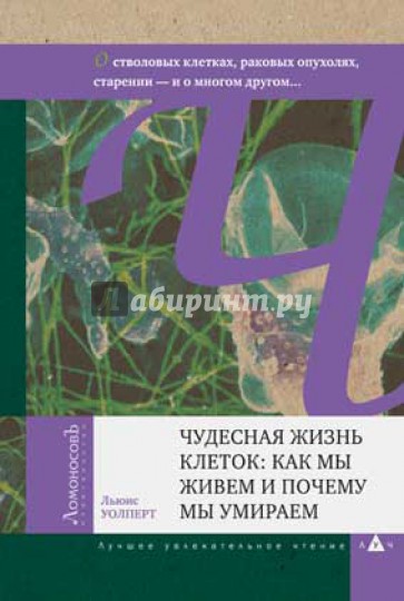 Чудесная жизнь клеток. Как мы живем и почему мы умираем