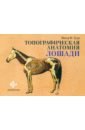 Гуди Питер К. Топографическая анатомия лошади