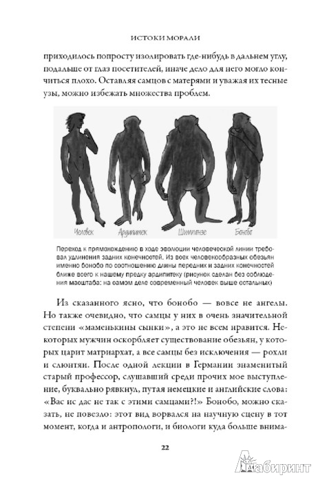 Иллюстрация 6 из 21 для Истоки морали. В поисках человеческого у приматов - Вааль де | Лабиринт - книги. Источник: Лабиринт