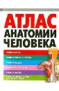 Атлас анатомии человека - Воробьев Владимир Петрович