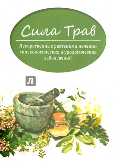 Сила трав: лекарственные растения в лечении гинекологических и урологических заболеваний