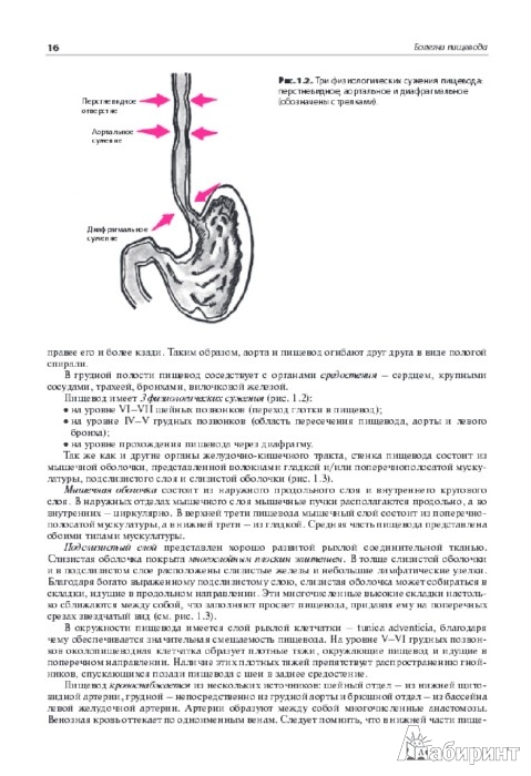 Иллюстрация 2 из 19 для Внутренние болезни. Система органов пищеварения - Струтынский, Ройтберг | Лабиринт - книги. Источник: Лабиринт