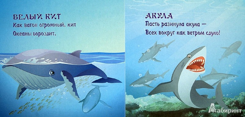 Иллюстрация 1 из 8 для Морские обитатели - Наталья Курлат | Лабиринт - книги. Источник: Лабиринт