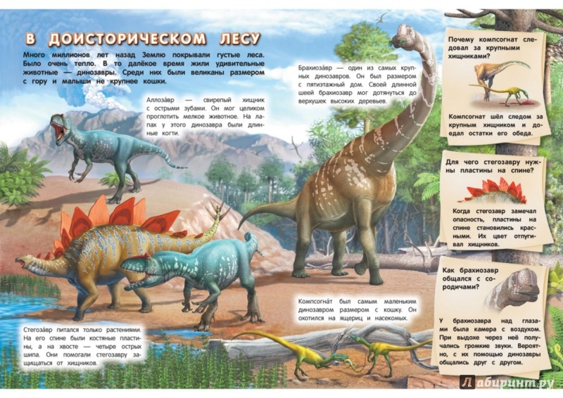Иллюстрация 1 из 5 для Динозавры - Елизавета Малевич | Лабиринт - книги. Источник: Лабиринт
