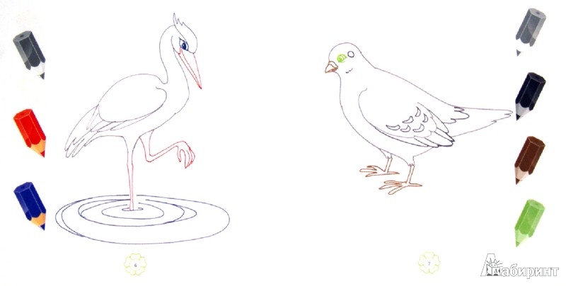 Иллюстрация 1 из 3 для Раскраски с подсказкой "Птички". Книжка-раскраска - М. Коршунова | Лабиринт - книги. Источник: Лабиринт