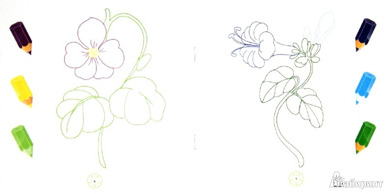 Иллюстрация 1 из 3 для Раскраски с подсказкой "Цветочки". Книжка-раскраска - М. Коршунова | Лабиринт - книги. Источник: Лабиринт