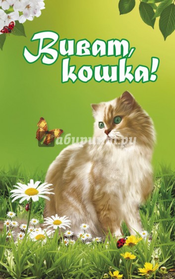 Виват, кошка!