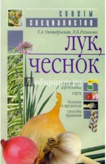 Лук, чеснок