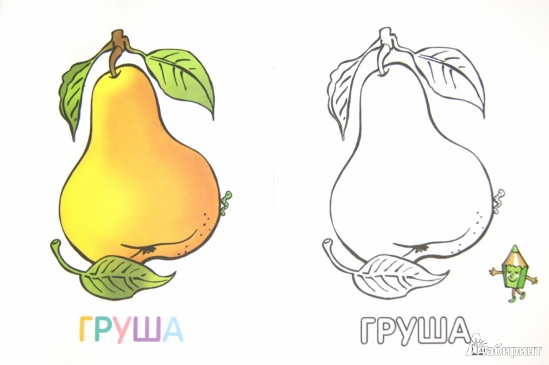 Раскраски онлайн Овощи и фрукты
