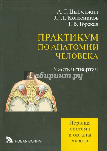 Практикум по анатомии человека. Часть 4. Нервная система и органы чувств