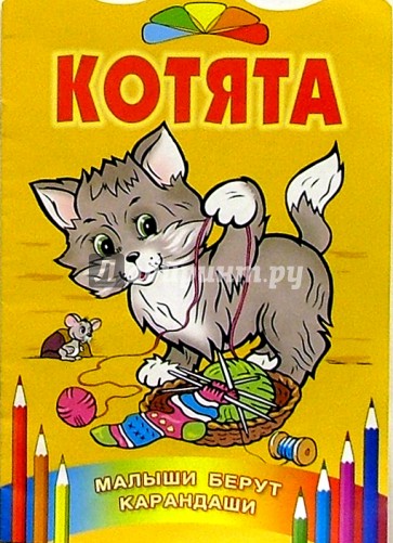 Котята