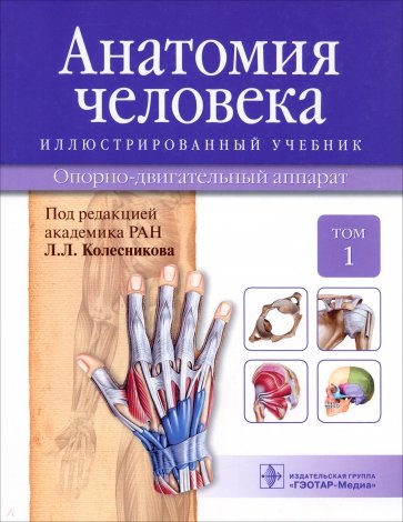 Анатомия человека. Иллюстрированный учебник. В 3-х томах. Том 1