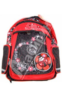 Рюкзак школьный Ladybird + подарок  2 отделения, 40х30 см (891052 BP/GL).