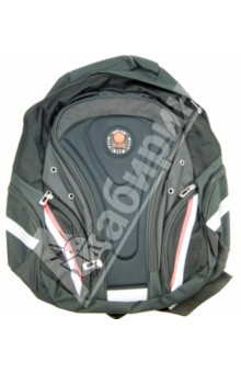 Рюкзак школьный Sport 40х30 см (13ВР-03-ES).