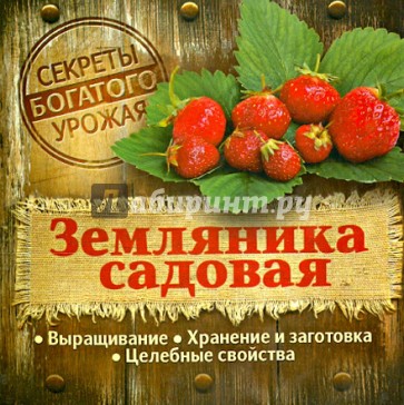 Земляника садовая