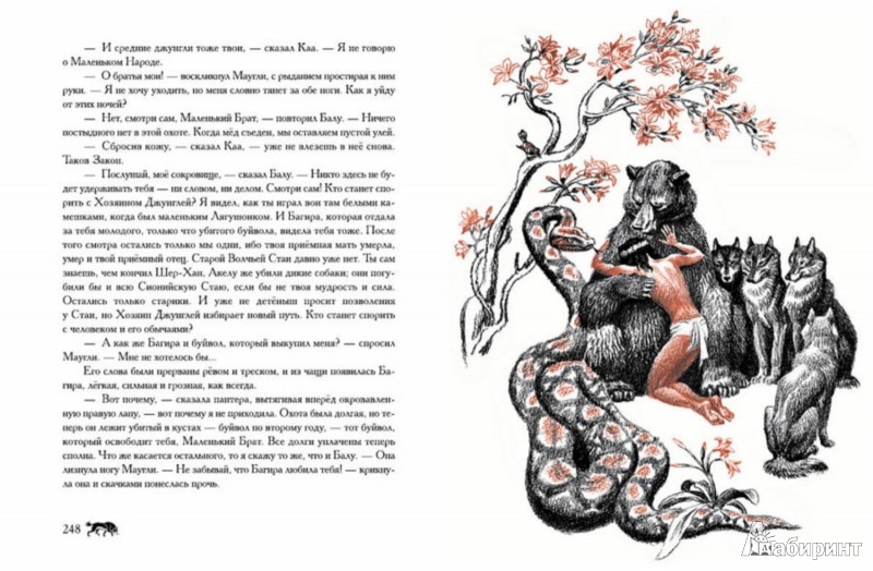 Иллюстрация 4 из 32 для Маугли - Редьярд Киплинг | Лабиринт - книги. Источник: Лабиринт