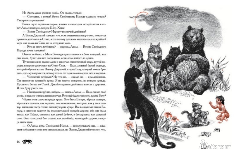 Иллюстрация 7 из 32 для Маугли - Редьярд Киплинг | Лабиринт - книги. Источник: Лабиринт