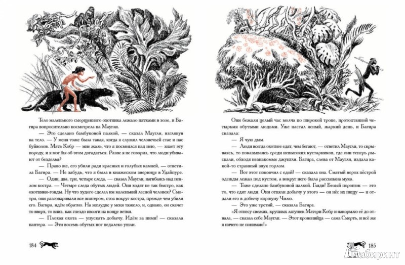 Иллюстрация 13 из 32 для Маугли - Редьярд Киплинг | Лабиринт - книги. Источник: Лабиринт