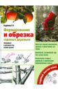 Формирование и обрезка садовых деревьев - Кудрявец Роман Петрович