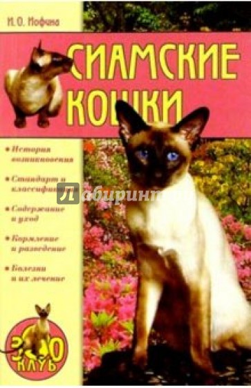 Сиамские кошки