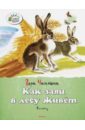 Чаплина Вера Васильевна Как заяц в лесу живёт