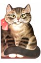 Котик-коток маршалова тамара котик серенький коток