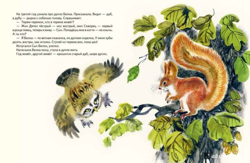 Иллюстрация 3 из 47 для Теремок - Виталий Бианки | Лабиринт - книги. Источник: Лабиринт