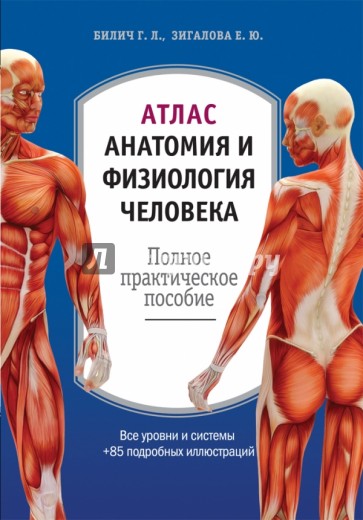 Атлас: анатомия и физиология человека