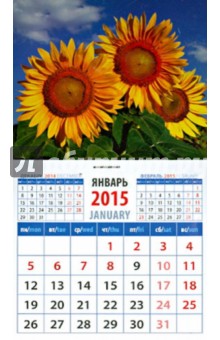 Календарь магнитный на 2015 год 