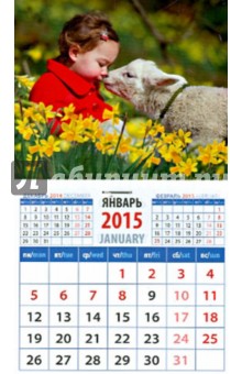 Календарь магнитный на 2015 год 