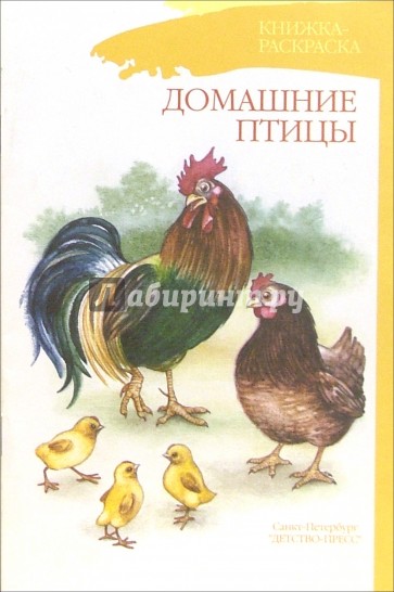 Домашние птицы. Книжка-раскраска для дошкольников