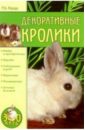 Нерода Маргарита Декоративные кролики рахманов а карликовые декоративные кролики