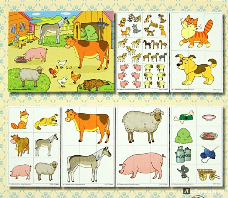 Иллюстрация 1 из 38 для Домашние животные. Интерактивные карточки по познавательно-речевому развитию - Елена Косинова | Лабиринт - игрушки. Источник: Лабиринт