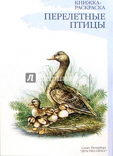 Перелетные птицы. Наглядно-методическое пособие для дошкольников