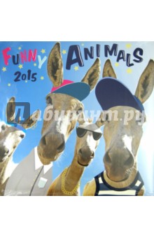  2015  Funny Animals  (2240)