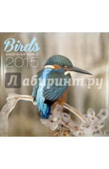  2015  Birds Kingfisher World  (2388)