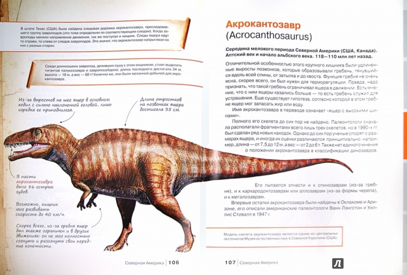 Иллюстрация 1 из 17 для Большой иллюстрированный атлас динозавров - Руслан Габдуллин | Лабиринт - книги. Источник: Лабиринт