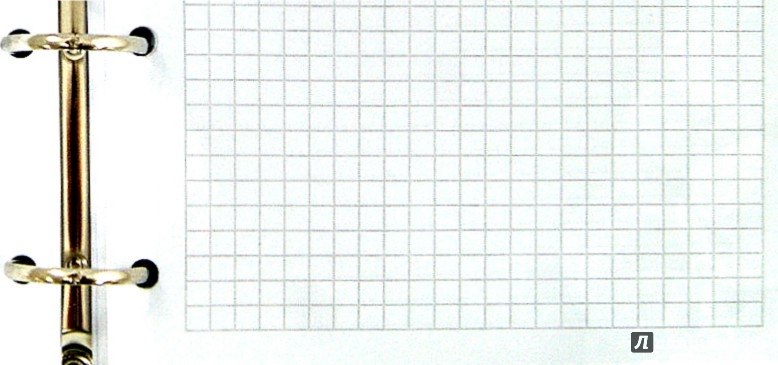 Иллюстрация 1 из 2 для Тетрадь на кольцах. Apples. Marker. А5, 120 листов (М-480512С) | Лабиринт - канцтовы. Источник: Лабиринт