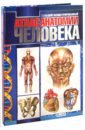 Большой иллюстрированный атлас анатомии человека махиянова евгения борисовна большой атлас анатомии человека