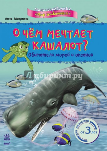 О чём мечтает кашалот? Обитатели морей и океанов