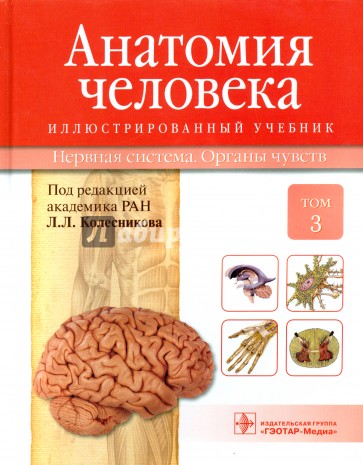 Анатомия человека. Учебник в 3-х томах. Том 3. Нервная система. Органы чувств