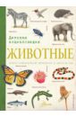 Животные. Детская энциклопедия beaumont emile лесные животные детская энциклопедия