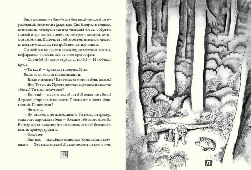 Иллюстрация 5 из 27 для Девочка и белочка - Павел Катаев | Лабиринт - книги. Источник: Лабиринт