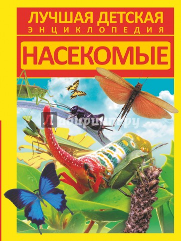 Насекомые