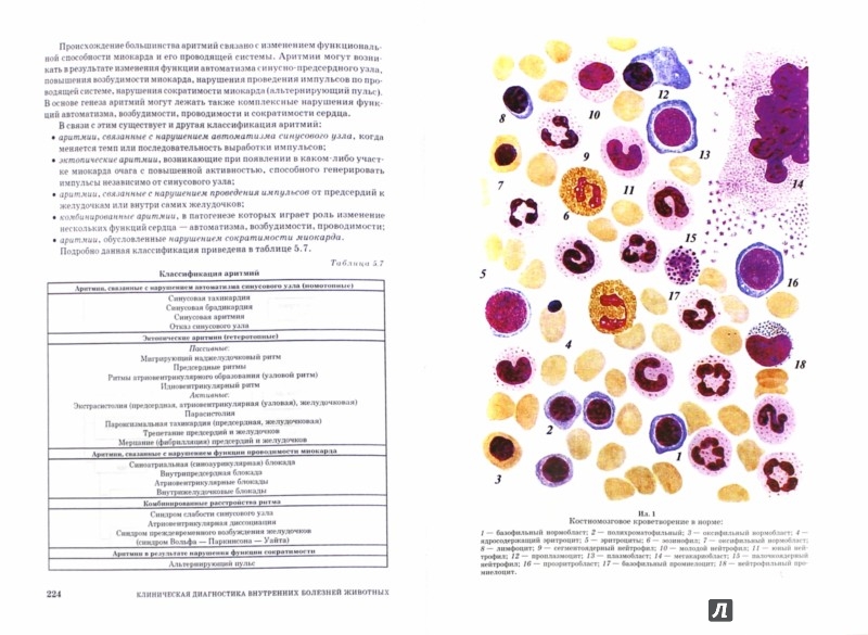 учебник клиническая диагностика животных