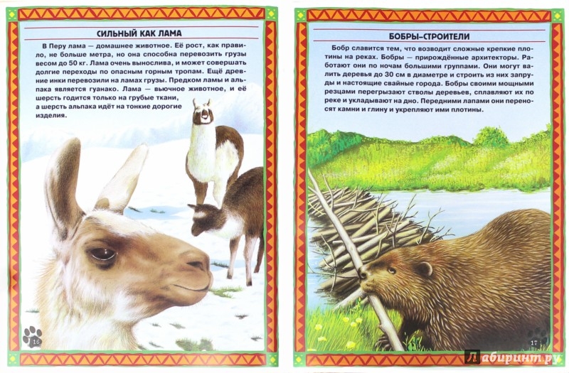 Иллюстрация 3 из 17 для Большие и маленькие. Интересные факты о животных | Лабиринт - книги. Источник: Лабиринт