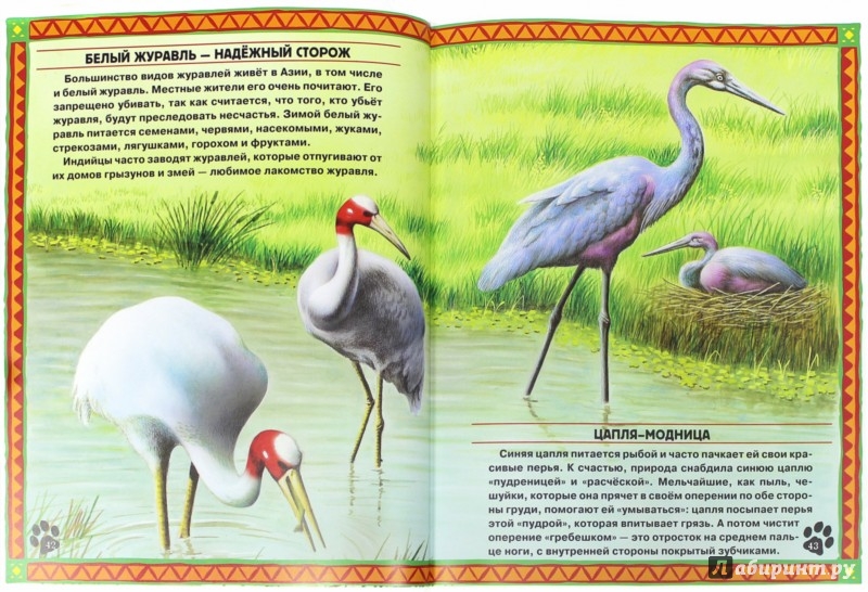 Иллюстрация 5 из 17 для Большие и маленькие. Интересные факты о животных | Лабиринт - книги. Источник: Лабиринт