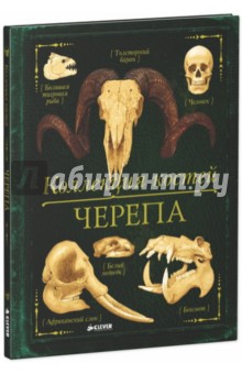 Обложка книги Коллекция костей. Черепа, Бедуайер Камилла де ла