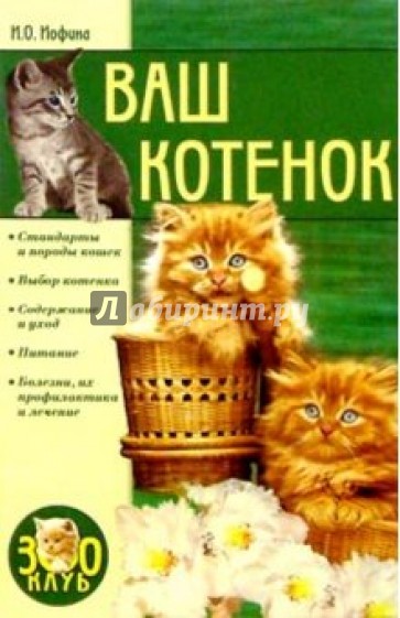 Ваш котенок